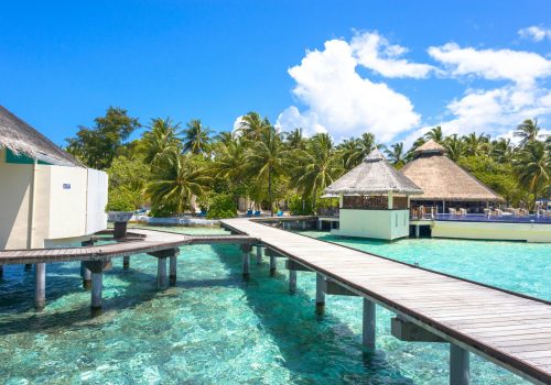 pexels-asadphoto-1320686