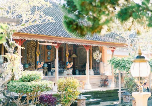 pexels-panditwiguna-15877977